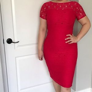 Dorothy Perkins Classy Lace Dress